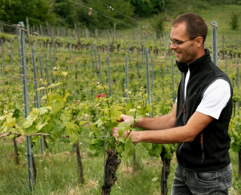 weingut ernst wittlingen baden familie dominik ernst