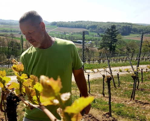 weingut ernst wittlingen baden familie markus ernst