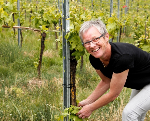 weingut ernst wittlingen baden familie regina ernst