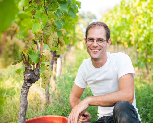 weingut ernst wittlingen baden_badens jungwinzer 2020_dominik ernst_6